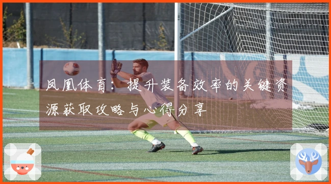 凤凰体育：提升装备效率的关键资源获取攻略与心得分享